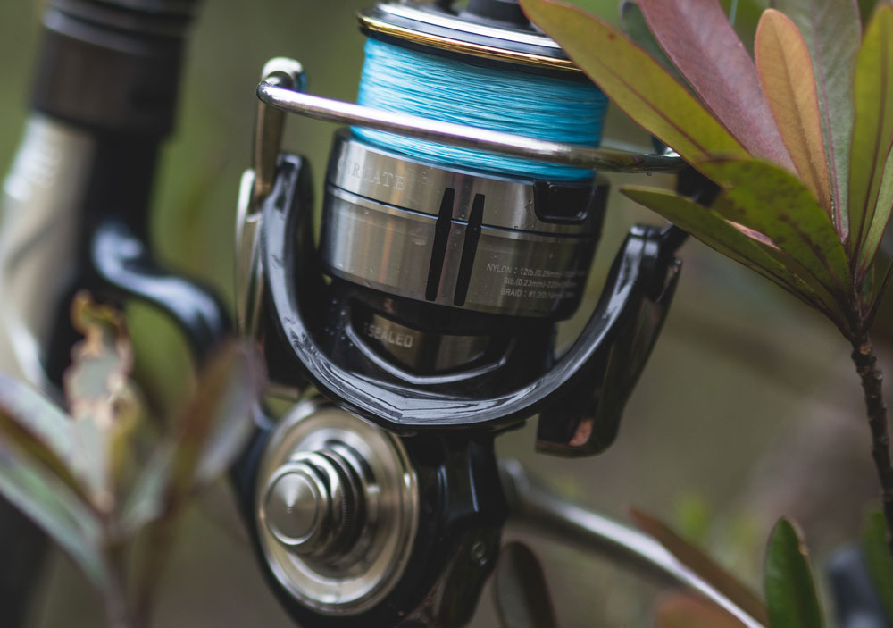 Daiwa Certate LT – TackleWest