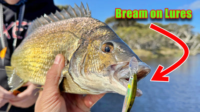 Bream on Lures Made Easy! | Part 1: Must-Have Gear to Get Started