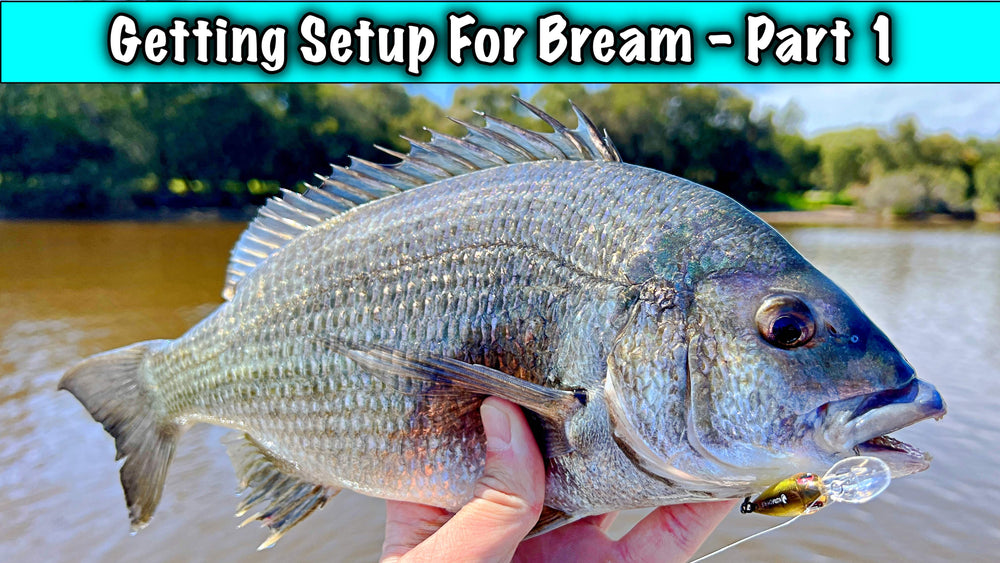 Good Bream Rigs How to catch Big Bream – TackleWest