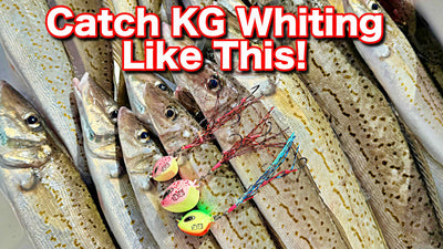 You are going to catch HEAPS of KG Whiting with these new VEXED Bottom Worms!
