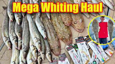 OUR BEST CATCH YET!! King George Whiting Were on FIRE 🔥