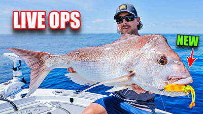 The BEST Soft Plastics I Have EVER SEEN! Nomad Have Done It AGAIN! NOMAD LIVE OPS