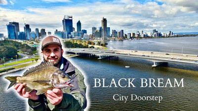 Tacklewest TV Ep2 - Big City Bream