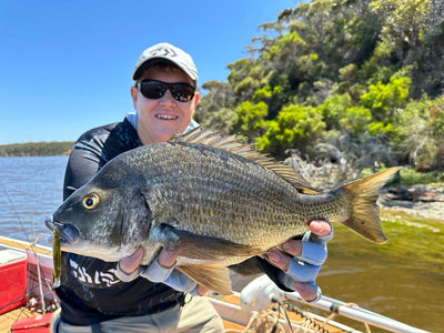 The BIGGEST Black Bream I've ever seen!