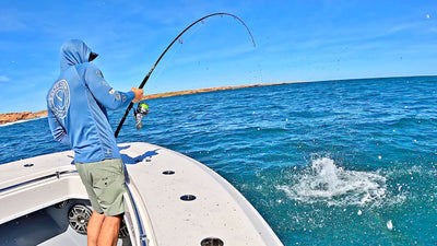 Chasing BIG TOPWATER fish