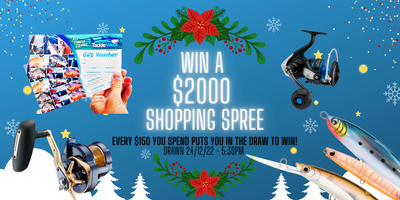 WIN a $2000 Shopping Spree This Christmas!