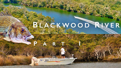 Tacklewest TV Ep6 | Is this the BEST river to catch BIG Bream?