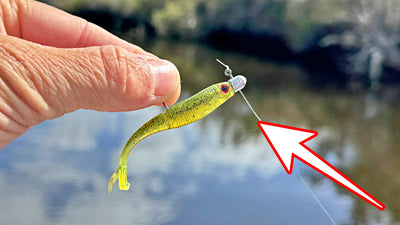 We fished a HIDDEN river in middle of nowhere!
