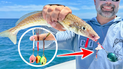 You WILL catch MORE fish with these!