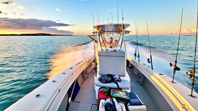 SIGHT FISHING schools of busting fish from CONTENDER 30ST!