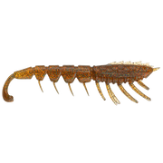Rapala Crush City The Imposter 2.5inch 7-pack