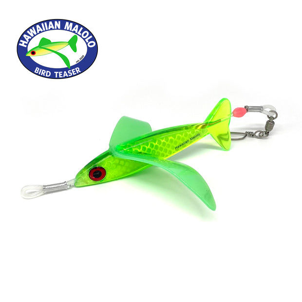 Bonze Hawaiian Malolo Bird Teaser