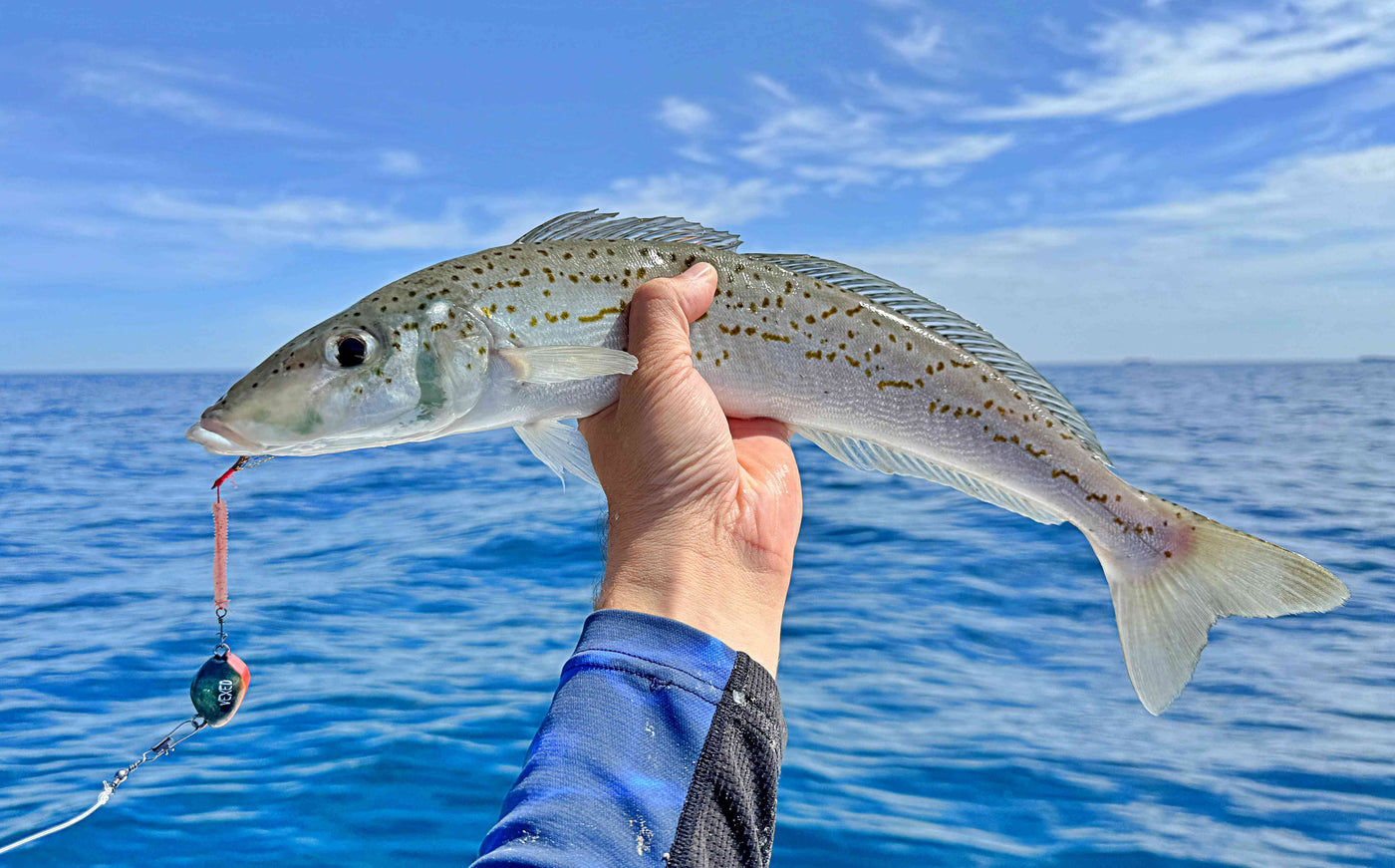TackleWest | Perth Fishing Shop - Buy Tackle Online & In-Store