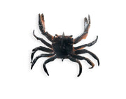 Chasebaits Crusty Crab 2-pack