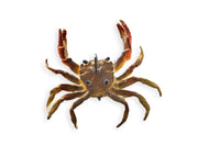 Chasebaits Crusty Crab 2-pack