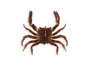 Chasebaits Crusty Crab 2-pack