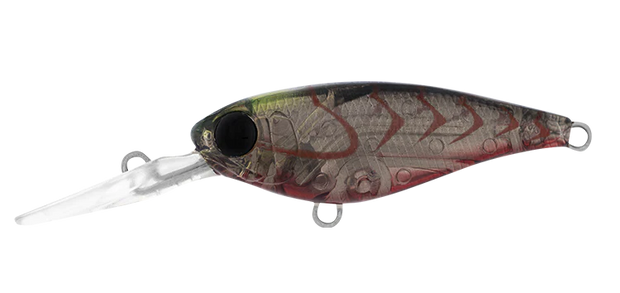 Daiwa Infeet Kodachi 40SF