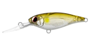 Daiwa Infeet Kodachi 40SF