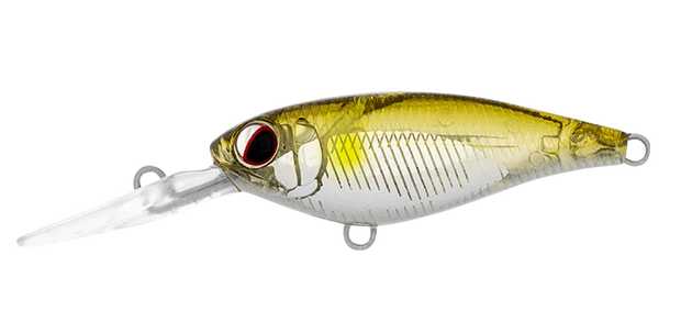 Daiwa Infeet Kodachi 40SF