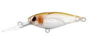 Daiwa Infeet Kodachi 40SF