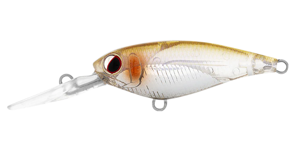 Daiwa Infeet Kodachi 40SF