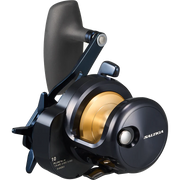 Daiwa 25 Saltiga 10 Overhead Reel