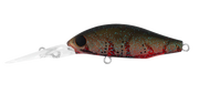 Daiwa Infeet Spike 44MR