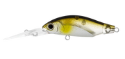 Daiwa Infeet Spike 44MR