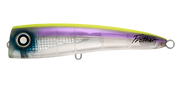 Daiwa Saltiga Frother 170F