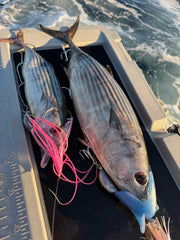Lure Us In XL Reaper Bare Head