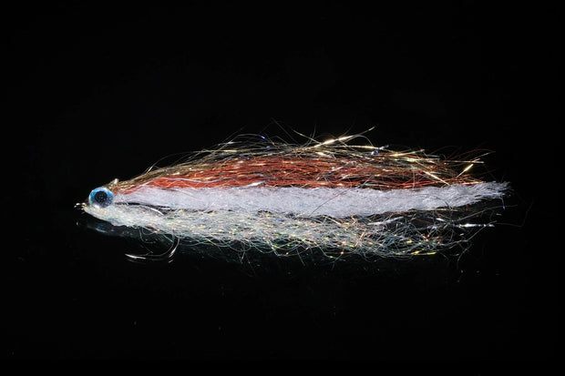 Manic Anchovy 2