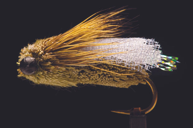 Manic Classic Cicada 8 Olive