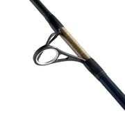 Daiwa 25 Saltiga LC Rod