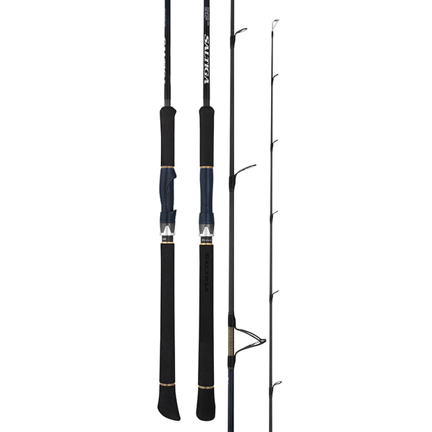 Daiwa 25 Saltiga LC Rod