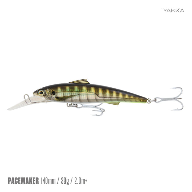 Samaki Pacemaker Minnow 180 D