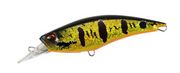 Duo Realis Fangshad 140SR