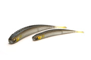 Raid Super Fish Roller 5