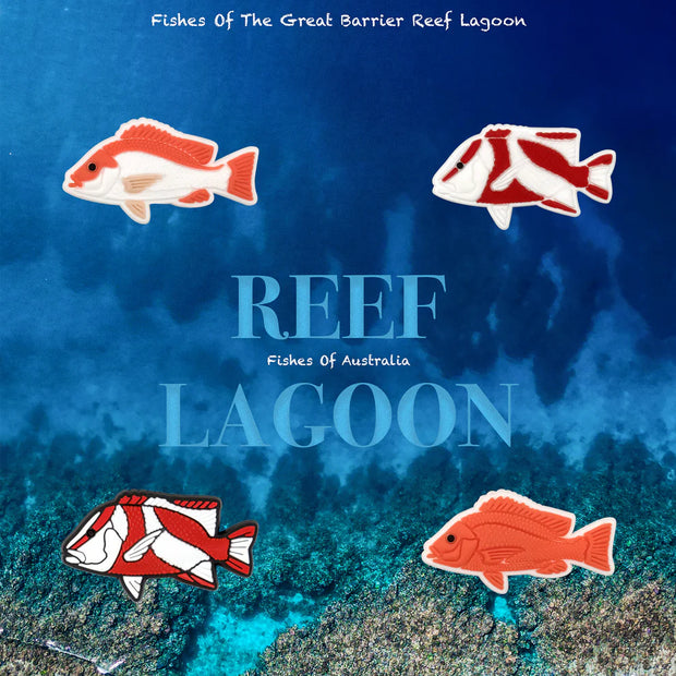 Reef Lagoon Charm Pack