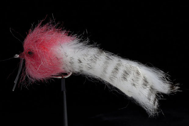 Manic Bradleys Barra Bunny 2/0