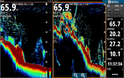 Simrad S5100 Sounder Module - Tackle West 
