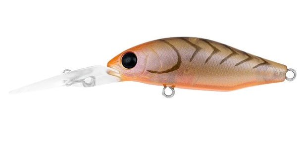 DAIWA INFEET SPIKE 44MR - Tackle West 