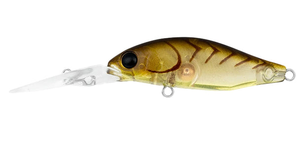 DAIWA INFEET SPIKE 44MR - Tackle West 