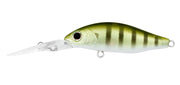 DAIWA INFEET SPIKE 44MR - Tackle West 