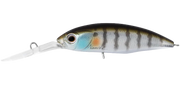 Daiwa Infeet Spike 53sp - TackleWest 