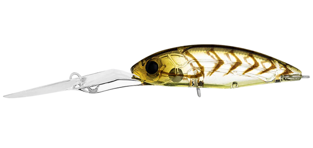 Daiwa Infeet Spike 53EXDR