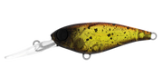 Daiwa Infeet Kodachi 40SF - TackleWest 