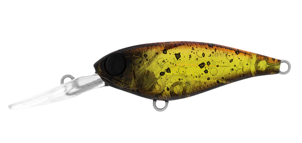 Daiwa Infeet Kodachi 40SF - TackleWest 