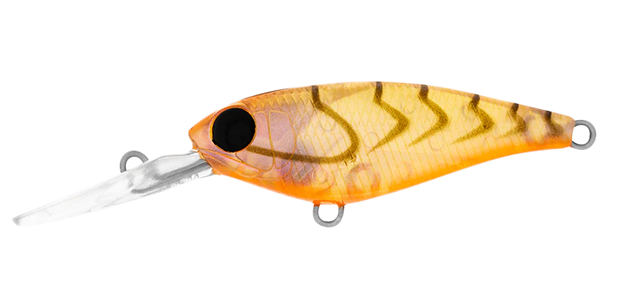 Daiwa Infeet Kodachi 40SF - TackleWest 