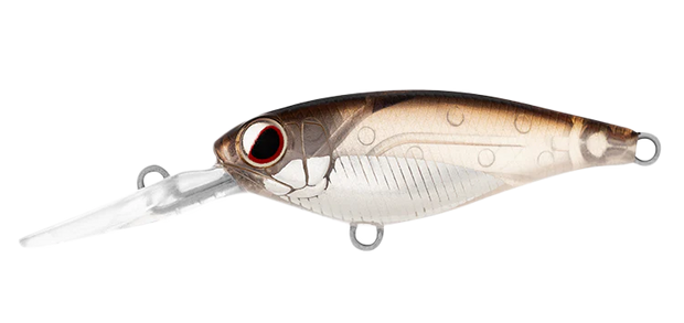 Daiwa Infeet Kodachi 40SF - TackleWest 