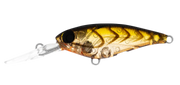 Daiwa Infeet Kodachi 40SF - TackleWest 